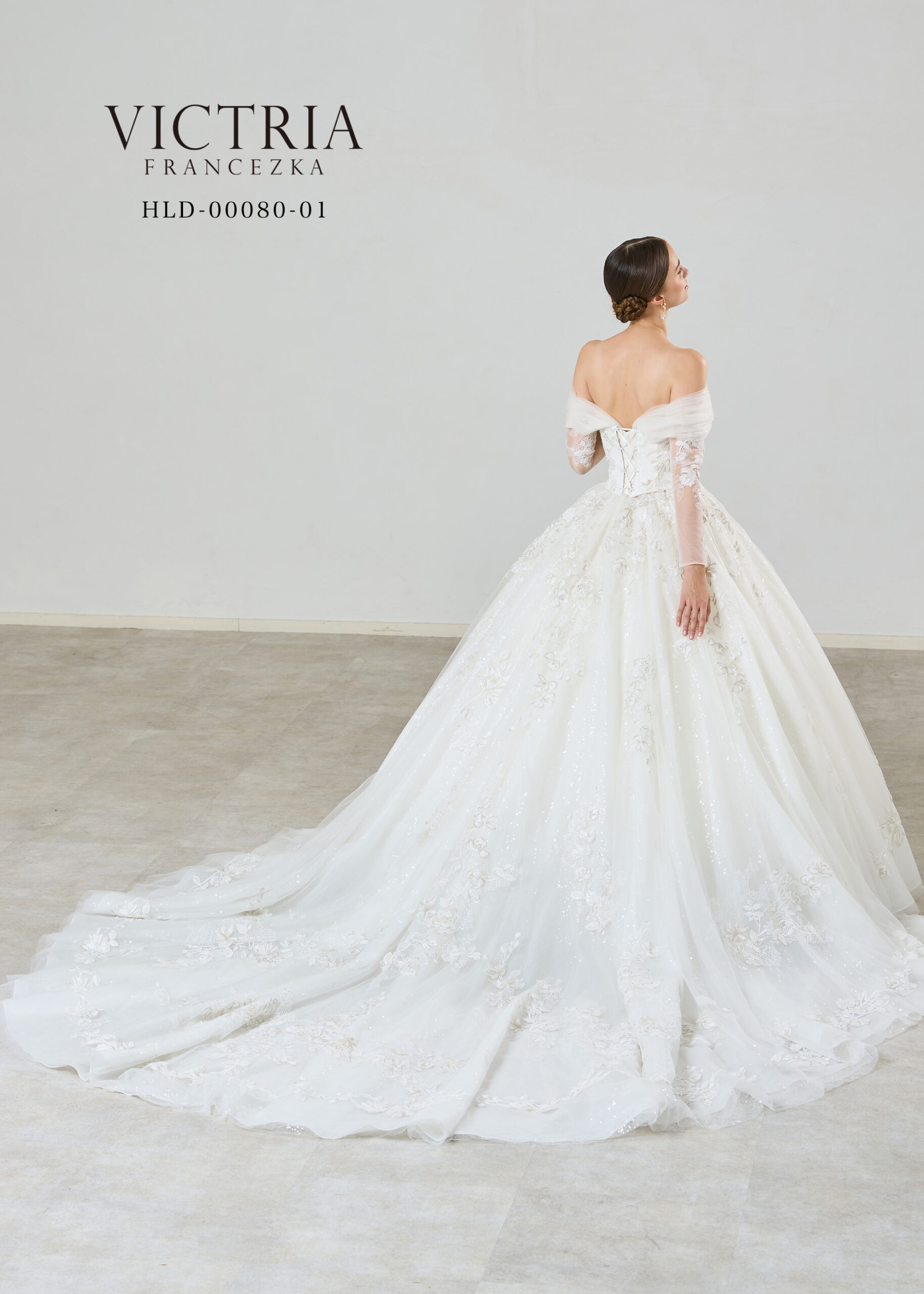 HLD-00080