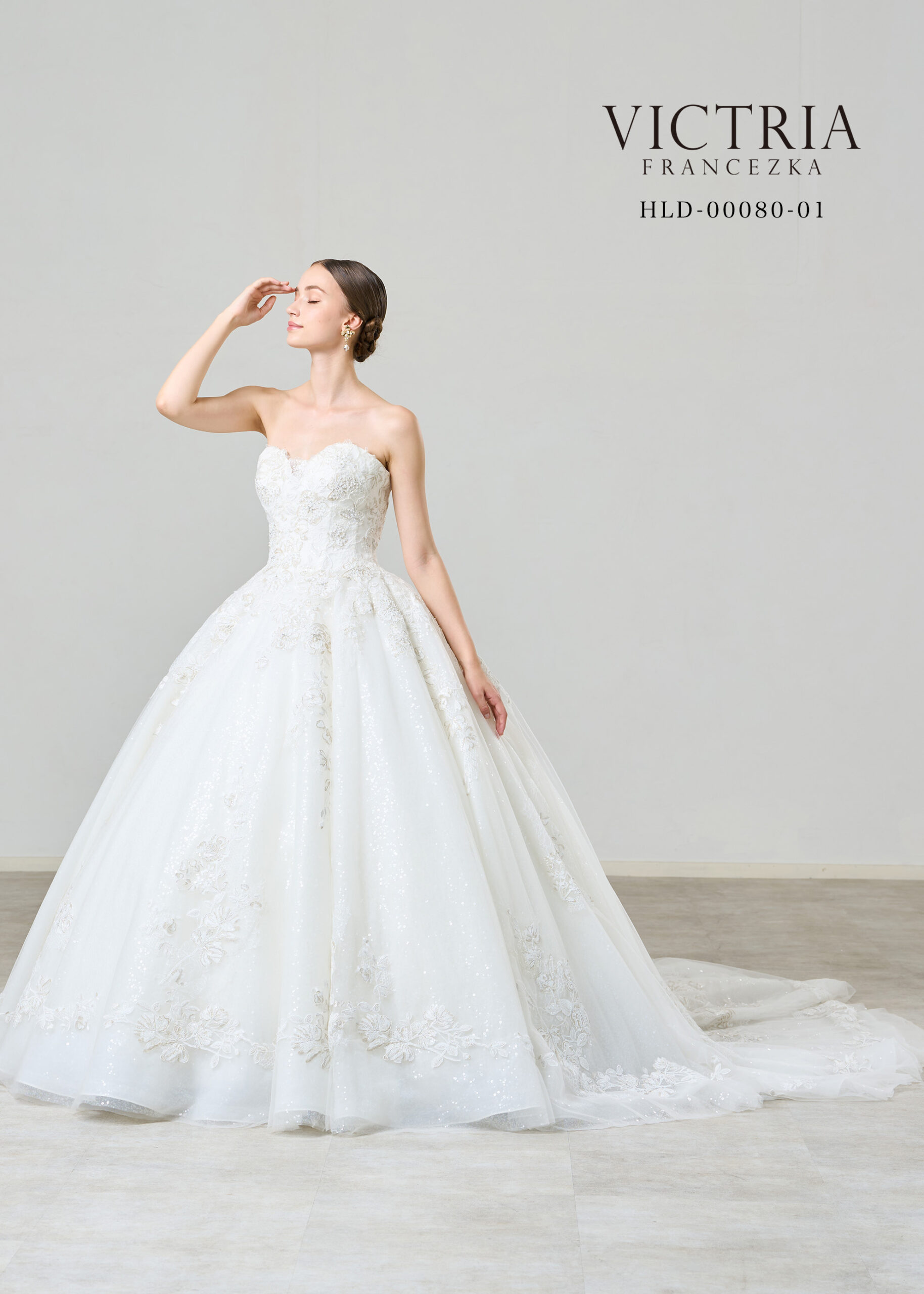HLD-00080